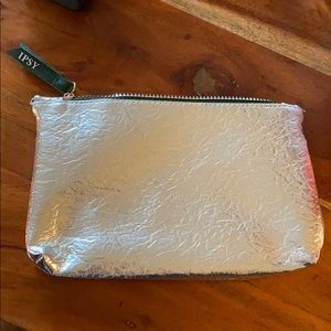 Ipsy metallic silver makeup bag